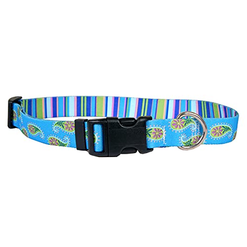 Yellow Dog - Blue Paisley Stripes Collar