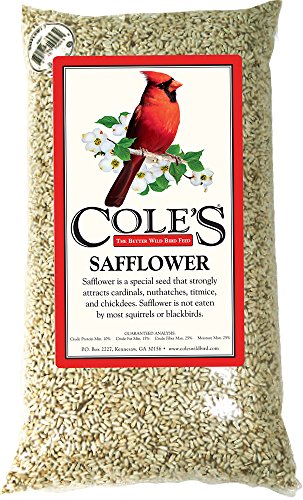 Cole's Safflower Bird Seed