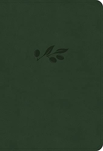 Holman Bible Publishers Nasb Large Print Compact Reference Bible Olive Le 