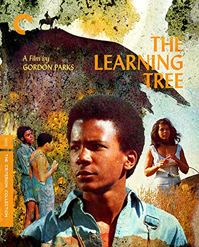 The Learning Tree (Criterion Collection)/Johnson/Clarke/Evans@Blu-Ray@NR