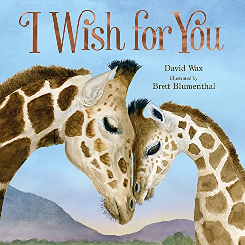 David Wax I Wish For You 