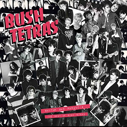 Bush Tetras/Rhythm & Paranoia: The Best Of@Amped Exclusive