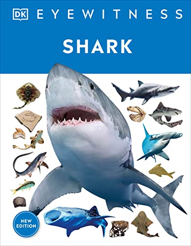 Dk Eyewitness Shark Dive Into The Fascinating World Of Sharks 