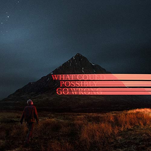 Dominic Fike/What Could Possibly Go Wrong (Clear Vinyl)@150g
