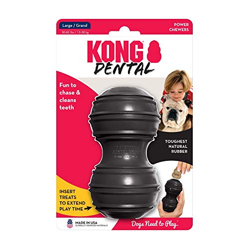 KONG Extreme Dental