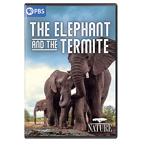 Nature Elephant & The Termite Nature Elephant & The Termite 