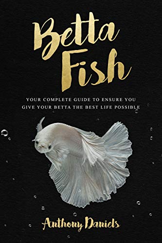 Anthony Daniels/Betta Fish@ Your Complete Guide to Ensure You Give Your Betta