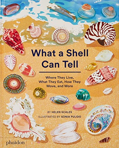 Helen Scales What A Shell Can Tell 