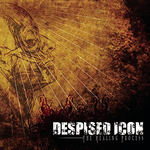 Despised Icon/The Healing Process (Alternate Mix - Re-Issue + Bonus 2022)