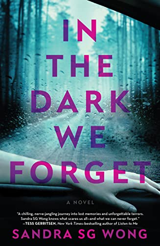 Sandra Sg Wong In The Dark We Forget 