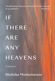 Nicholas Montemarano If There Are Any Heavens A Memoir 