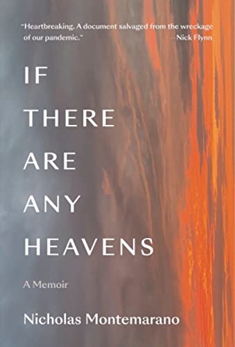 Nicholas Montemarano If There Are Any Heavens A Memoir 