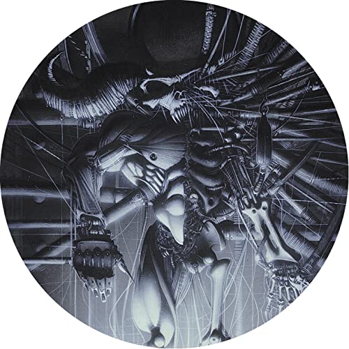 Danzig/Danzig 5: Blackacidevil (Pictu@Amped Exclusive
