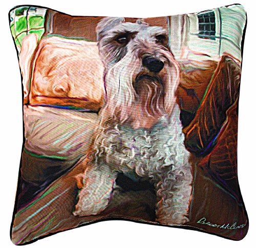 Pillow-Schnauzer on Couch