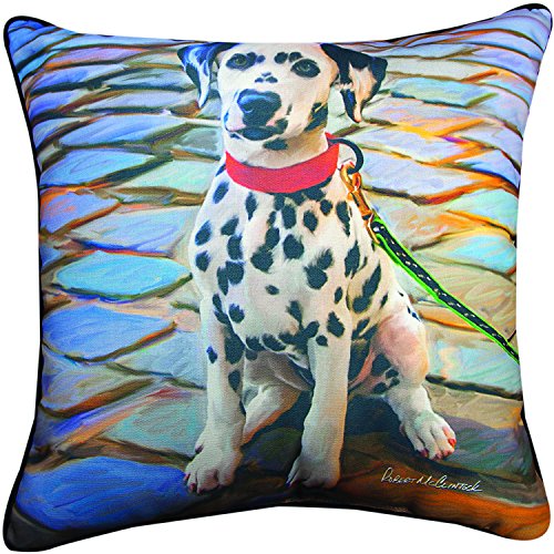 Pillow-Dalmation