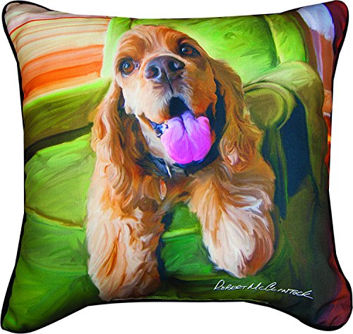 Pillow-Cockerspaniel Smile