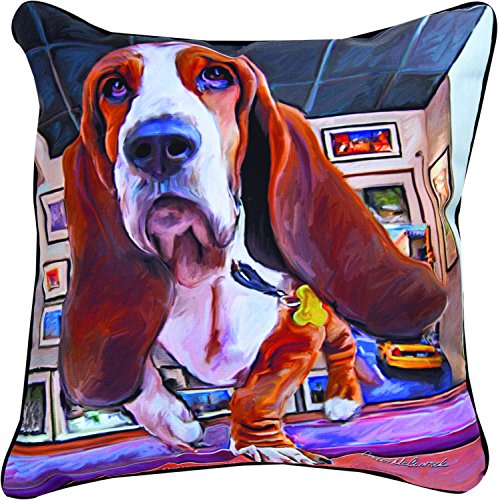 Pillow-Basset Hound Bumping Along