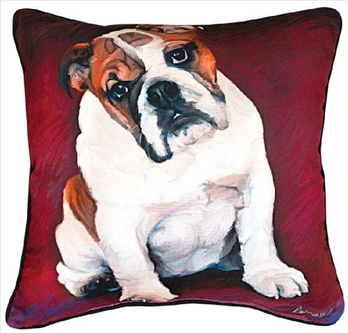 Pillow, Bulldog Baby