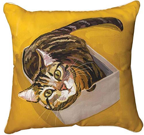 Pillow-Tabby Cat