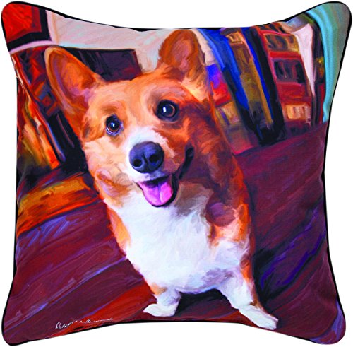 Pillow, Corgi Get Low