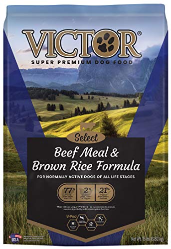 VICTOR - Dog Food - Beef Meal & Rice