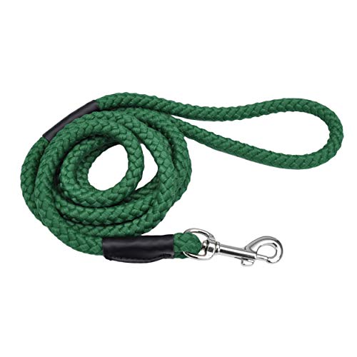 Coastal Rope Dog Leash-Hunter