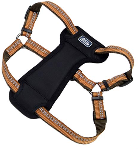 K9 Explorer Reflective Adjustable Padded Dog Harness-Campfire Orange