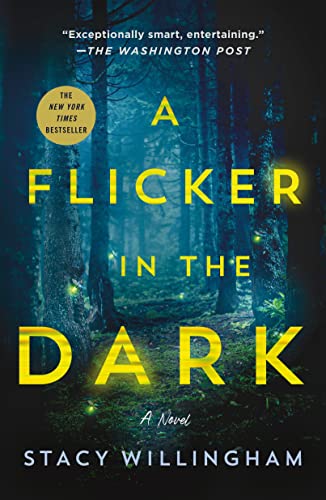 Stacy Willingham/A Flicker in the Dark