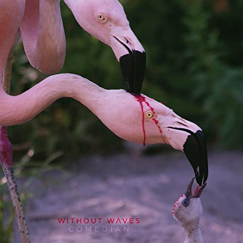 Without Waves/Comedian