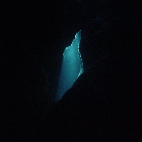 Balam Acab/Wander/Wonder