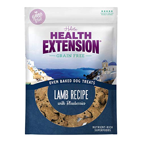 Health Extension Oven Baked Grain Free Treats Lamb Recipe with Blueberries