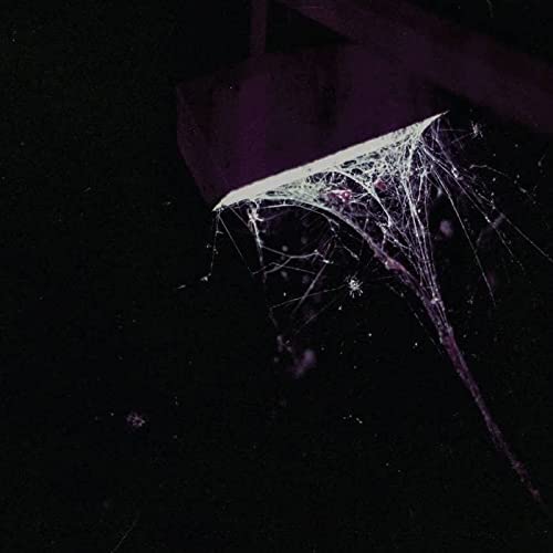 Pluralone/Wile B/W Remembered (Purple)@Amped Exclusive