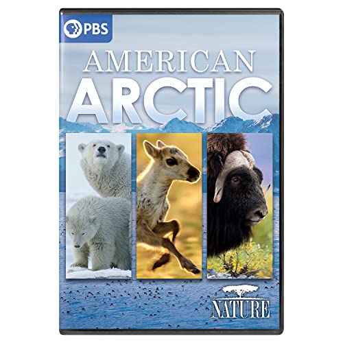 Nature-American Arctic/Nature-American Arctic@DVD