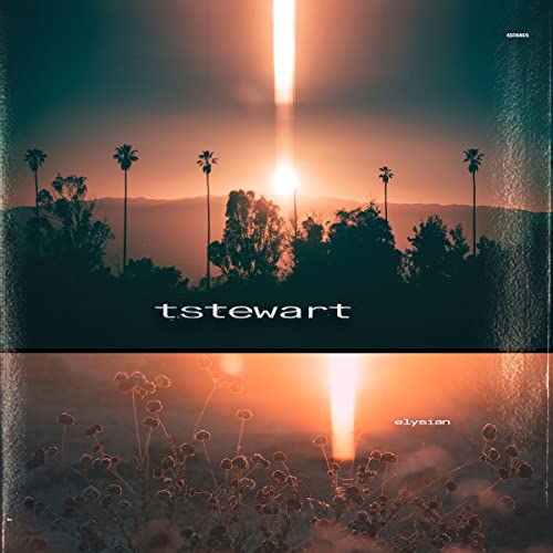 tstewart/Machinedrum/elysian@LP