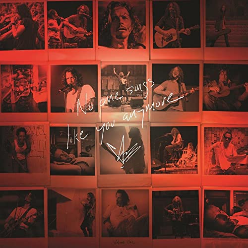 Chris Cornell/No One Sings Like You Anymore (Picture Disc Vinyl)@LP