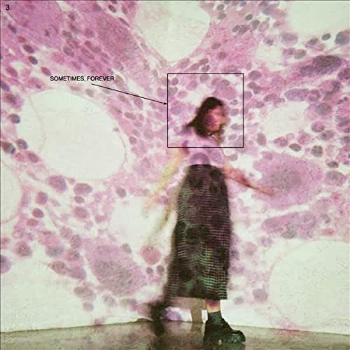 Soccer Mommy/Sometimes, Forever@LP