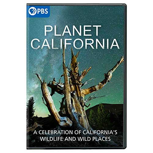 Planet California/Planet California@DVD@G