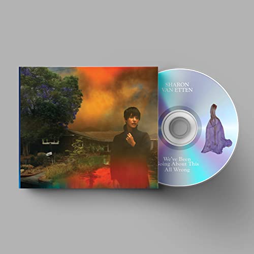 Sharon Van Etten/We've Been Going About This All Wrong