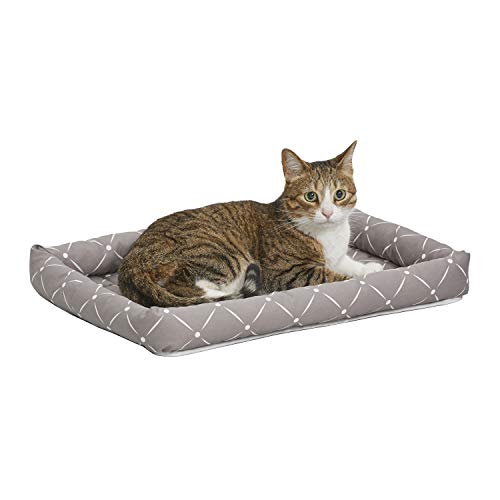 MidWest QuietTime® Couture Ashton Bolster Pet Bed-Mushroom