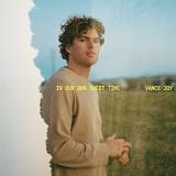 Vance Joy In Our Own Sweet Time 