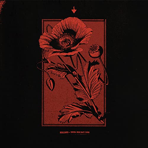 Kollaps/Until The Day I Die