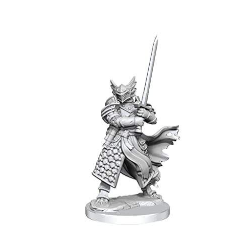 Miniature/Dragonborn Paladin D&D Frameworks