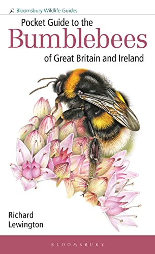 Richard Lewington Pocket Guide To The Bumblebees Of Great Britain An 