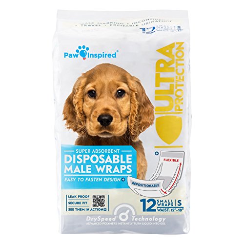 Disposable Male Dog Wraps