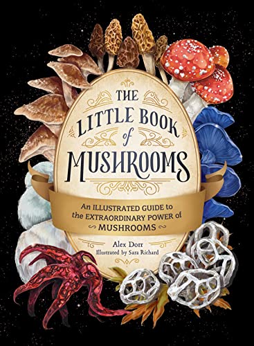 Alex Dorr The Little Book Of Mushrooms An Illustrated Guide To The Extraordinary Power O 