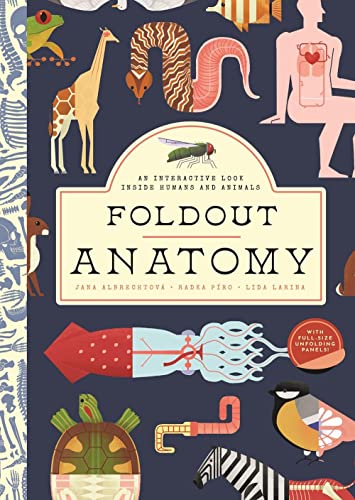 Jana Albrechtov? Foldout Anatomy An Interactive Look Inside Humans And Animals 