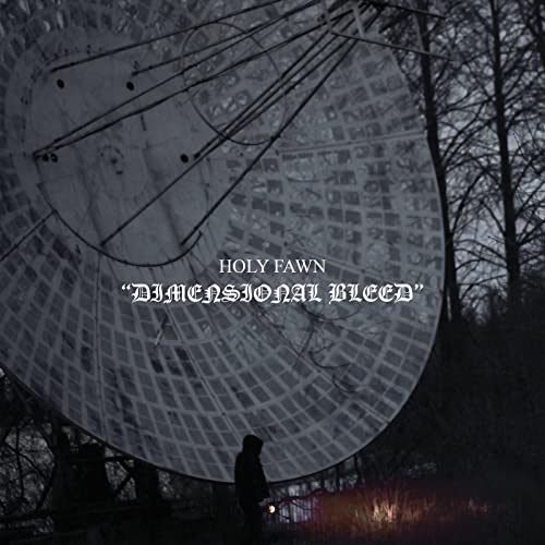 Holy Fawn/Dimensional Bleed (Coke Bottle Clear Vinyl)@Amped Exclusive