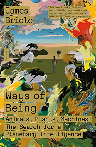 James Bridle Ways Of Being Animals Plants Machines The Search For A Plane 