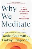 Daniel Goleman Why We Meditate The Science And Practice Of Clarity And Compassio 