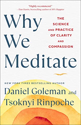 Daniel Goleman Why We Meditate The Science And Practice Of Clarity And Compassio 